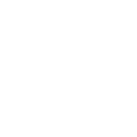 DLTS International School logo